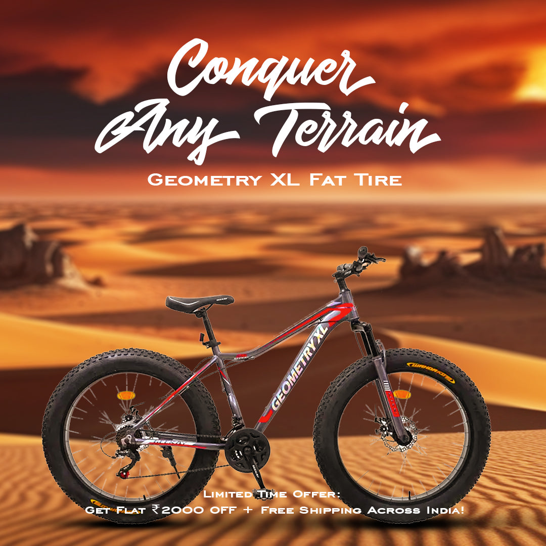 Terrain Bike Rudra Cycle